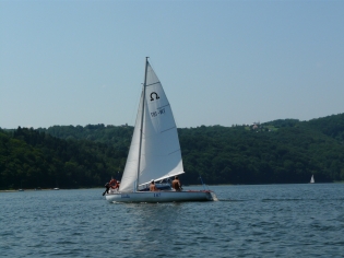 25