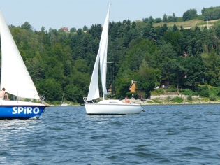 91