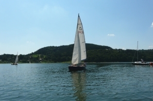 29