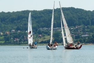 31