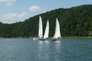 91