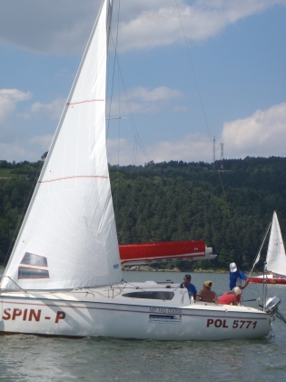 81
